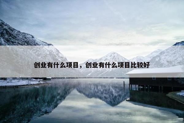 创业有什么项目，创业有什么项目比较好