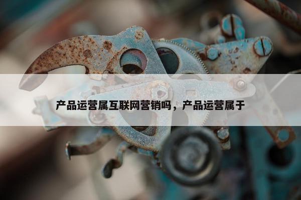 产品运营属互联网营销吗，产品运营属于