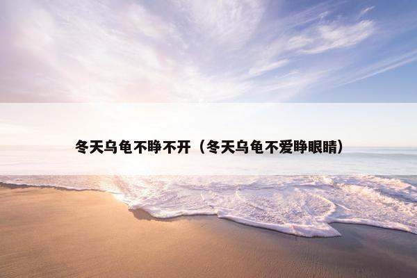 冬天乌龟不睁不开（冬天乌龟不爱睁眼睛）