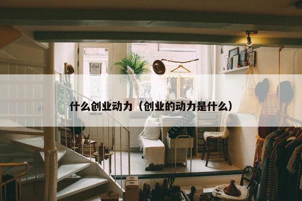 什么创业动力（创业的动力是什么）