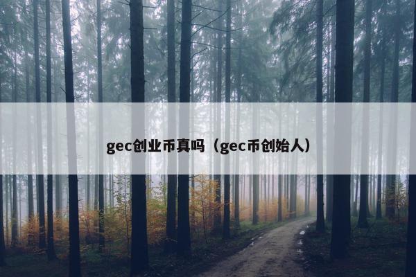 gec创业币真吗（gec币创始人）