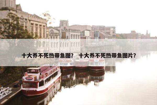 十大养不死热带鱼图？ 十大养不死热带鱼图片？