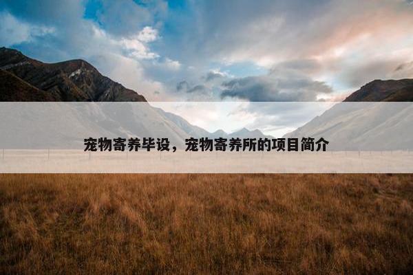 宠物寄养毕设，宠物寄养所的项目简介