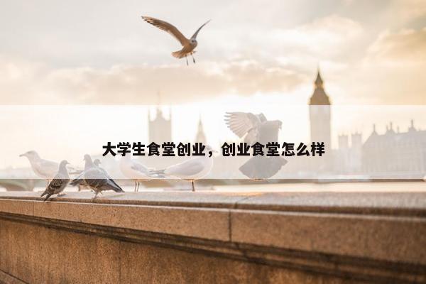 大学生食堂创业，创业食堂怎么样