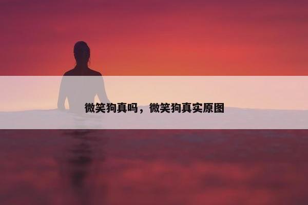 微笑狗真吗，微笑狗真实原图