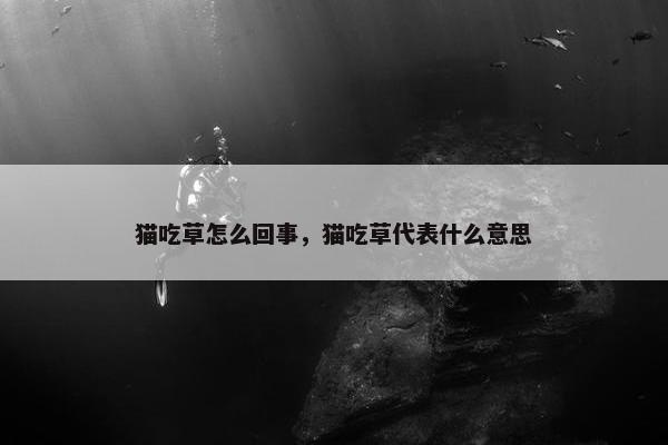 猫吃草怎么回事，猫吃草代表什么意思