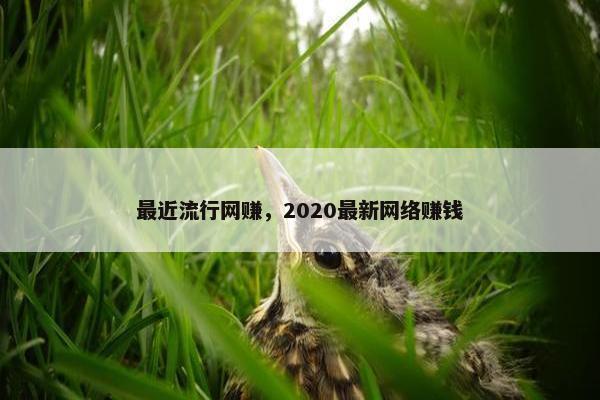 最近流行网赚，2020最新网络赚钱
