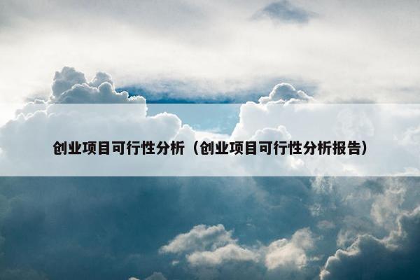创业项目可行性分析（创业项目可行性分析报告）