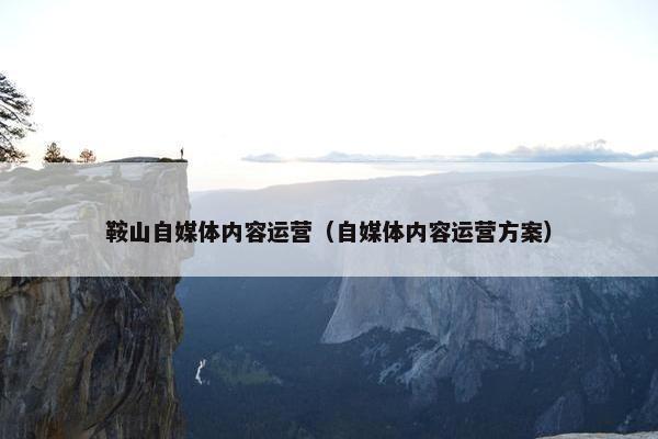 鞍山自媒体内容运营（自媒体内容运营方案）