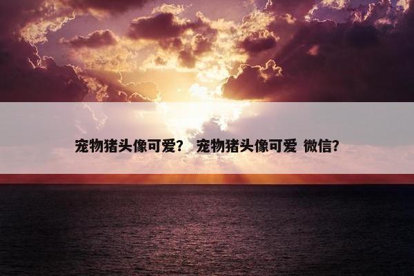 宠物猪头像可爱？ 宠物猪头像可爱 微信？