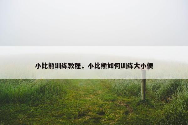 小比熊训练教程，小比熊如何训练大小便