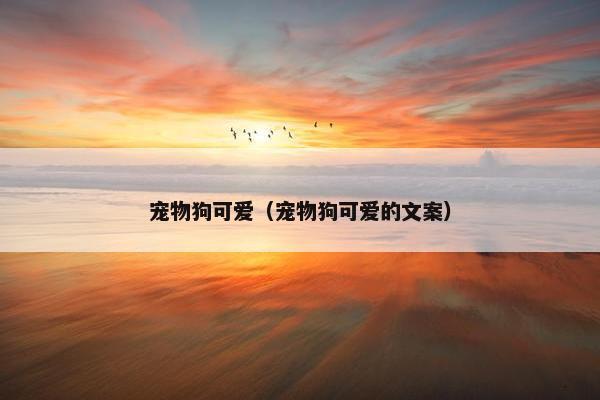 宠物狗可爱（宠物狗可爱的文案）
