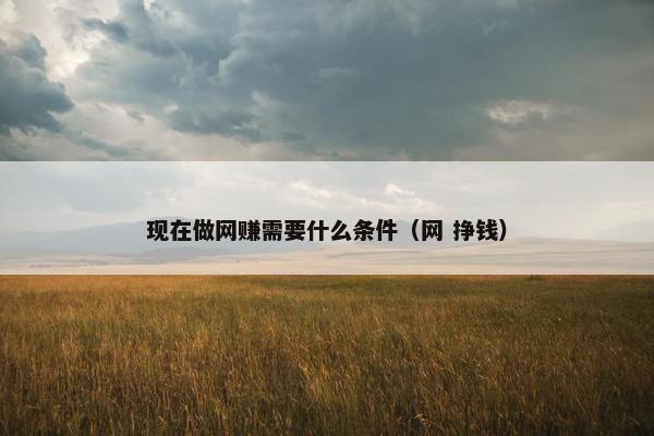 现在做网赚需要什么条件（网 挣钱）
