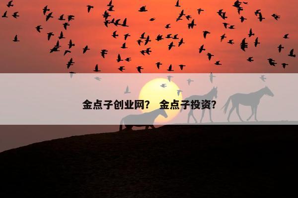 金点子创业网？ 金点子投资？