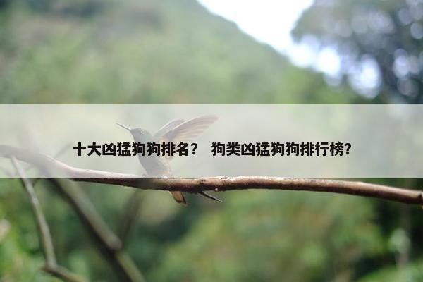 十大凶猛狗狗排名？ 狗类凶猛狗狗排行榜？