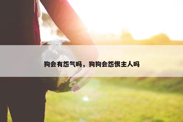 狗会有怨气吗，狗狗会怨恨主人吗