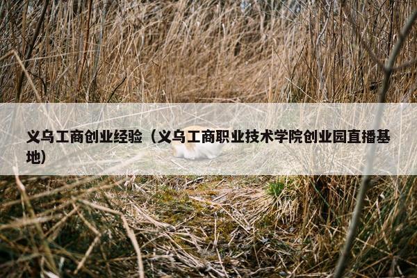 义乌工商创业经验（义乌工商职业技术学院创业园直播基地）