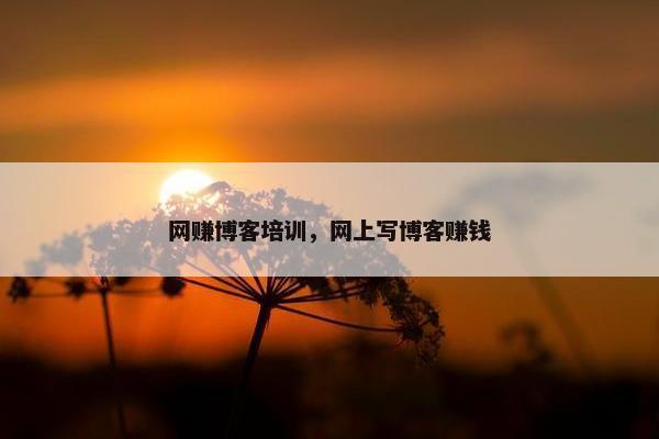 网赚博客培训，网上写博客赚钱