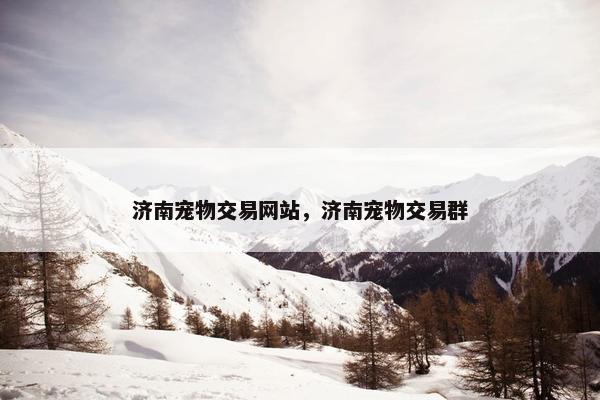 济南宠物交易网站，济南宠物交易群