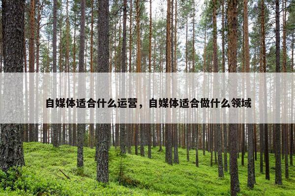 自媒体适合什么运营，自媒体适合做什么领域