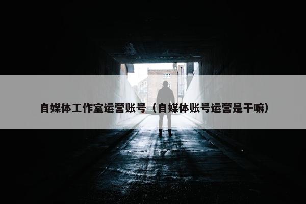 自媒体工作室运营账号（自媒体账号运营是干嘛）
