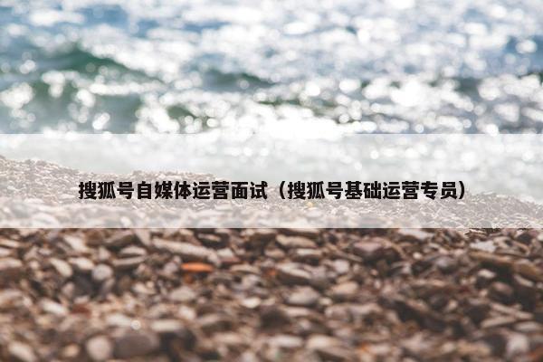 搜狐号自媒体运营面试（搜狐号基础运营专员）