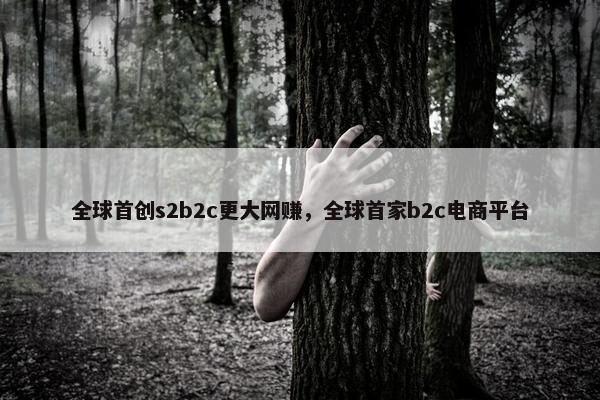 全球首创s2b2c更大网赚，全球首家b2c电商平台