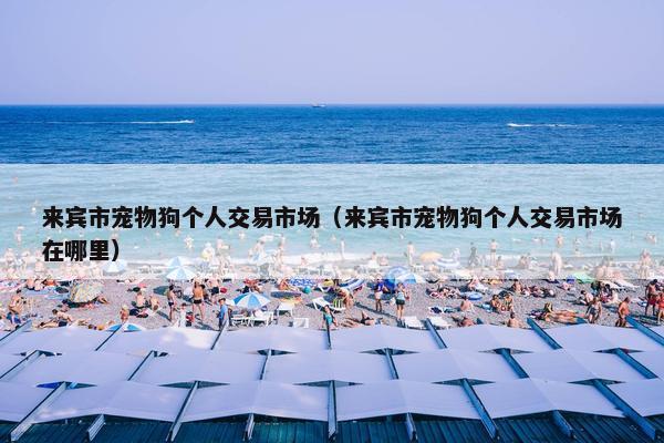 来宾市宠物狗个人交易市场（来宾市宠物狗个人交易市场在哪里）
