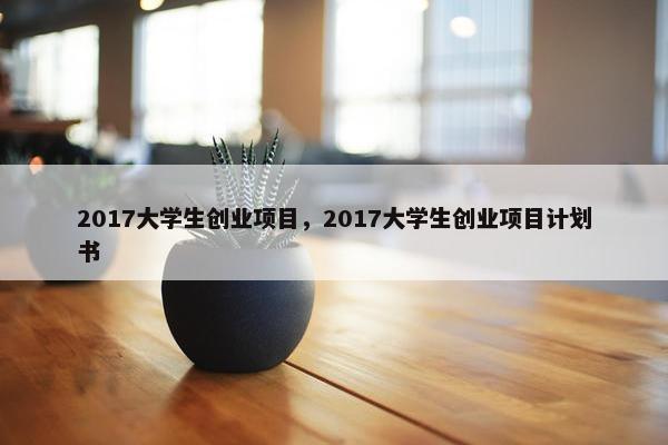 2017大学生创业项目，2017大学生创业项目计划书