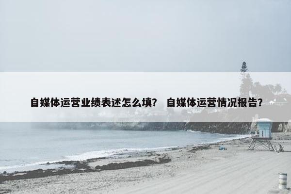 自媒体运营业绩表述怎么填？ 自媒体运营情况报告？