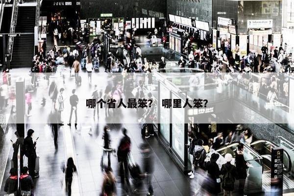 哪个省人最笨？ 哪里人笨？
