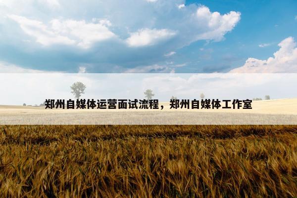 郑州自媒体运营面试流程，郑州自媒体工作室