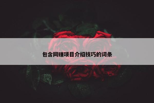 包含网赚项目介绍技巧的词条