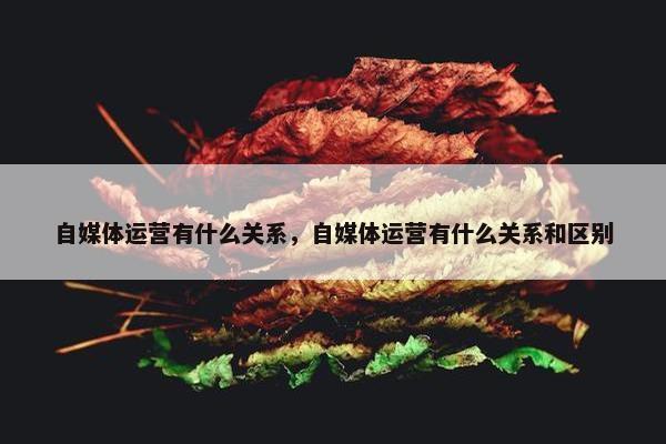 自媒体运营有什么关系，自媒体运营有什么关系和区别