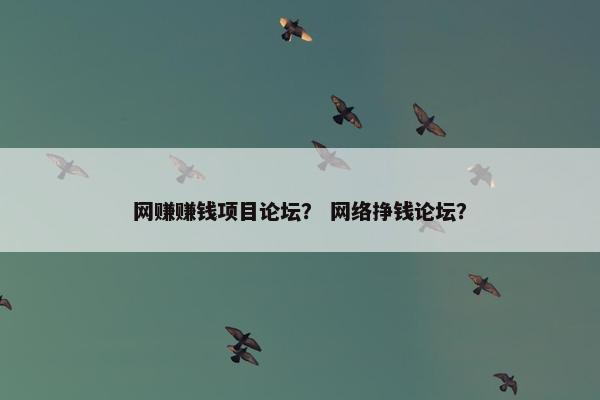 网赚赚钱项目论坛？ 网络挣钱论坛？