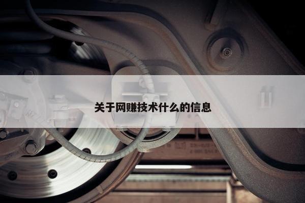 关于网赚技术什么的信息