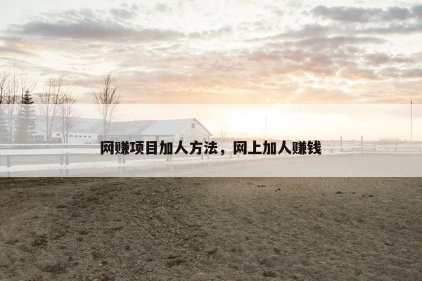 网赚项目加人方法，网上加人赚钱