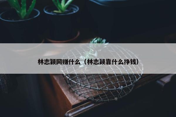 林志颖网赚什么（林志颖靠什么挣钱）