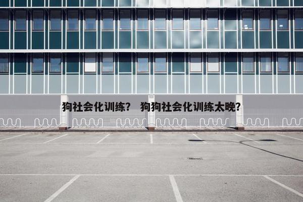狗社会化训练？ 狗狗社会化训练太晚？
