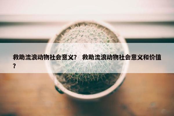 救助流浪动物社会意义? 救助流浪动物社会意义和价值?