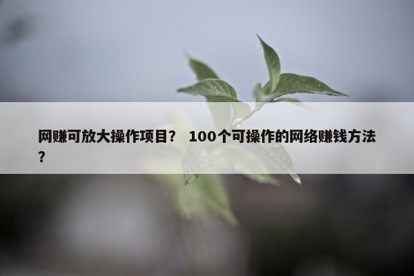 网赚可放大操作项目？ 100个可操作的网络赚钱方法？