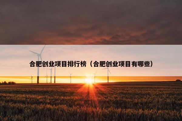 合肥创业项目排行榜(合肥创业项目有哪些)