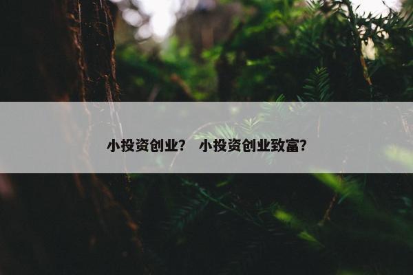 小投资创业？ 小投资创业致富？
