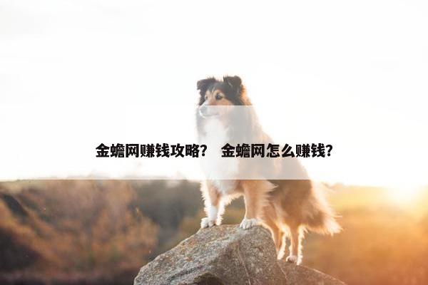 金蟾网赚钱攻略？ 金蟾网怎么赚钱？