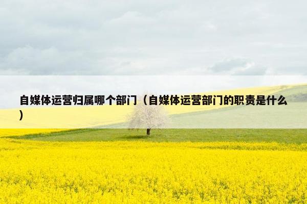 自媒体运营归属哪个部门(自媒体运营部门的职责是什么)
