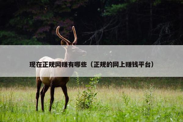 现在正规网赚有哪些(正规的网上赚钱平台)