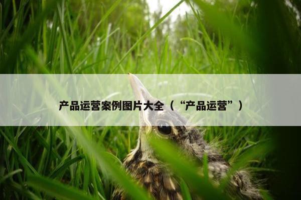 产品运营案例图片大全(“产品运营”)