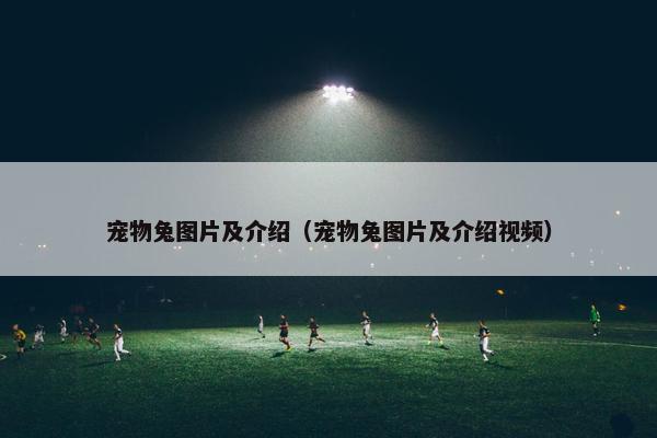 宠物兔图片及介绍（宠物兔图片及介绍视频）