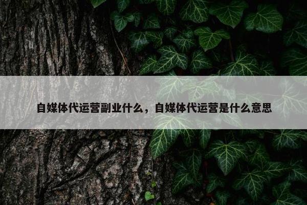 自媒体代运营副业什么，自媒体代运营是什么意思