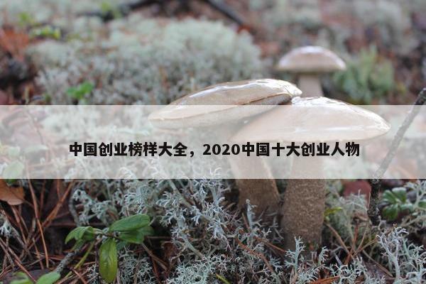 中国创业榜样大全,2020中国十大创业人物